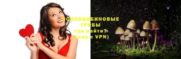 сатива Няндома