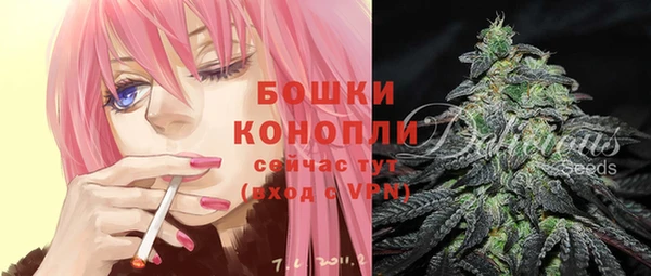 шишки Абдулино