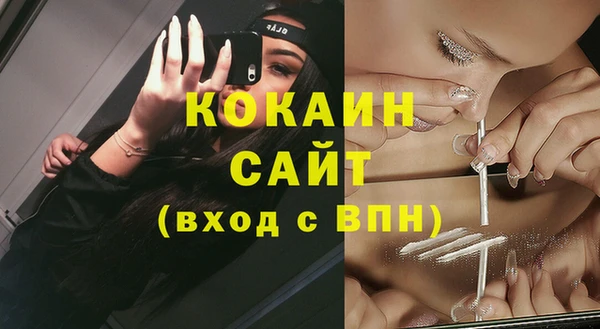 шишки Абдулино