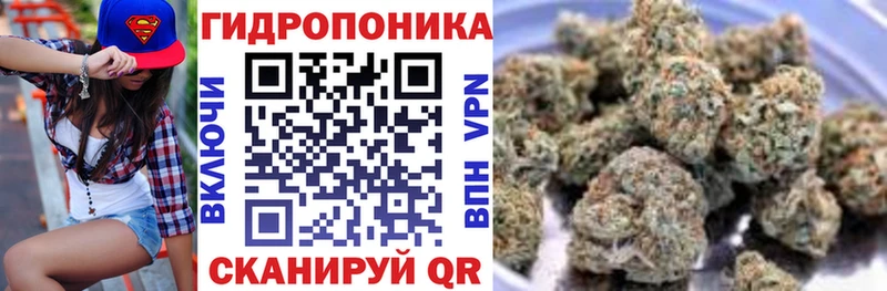 как найти Питкяранта Бошки Шишки SATIVA & INDICA